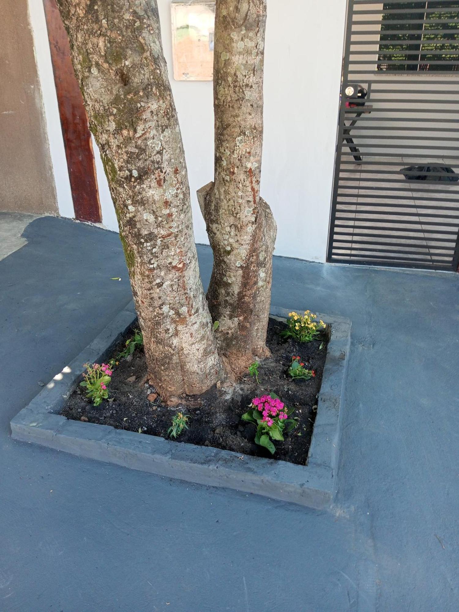 Casa Luna Da Boa Vista Bonito  Kültér fotó